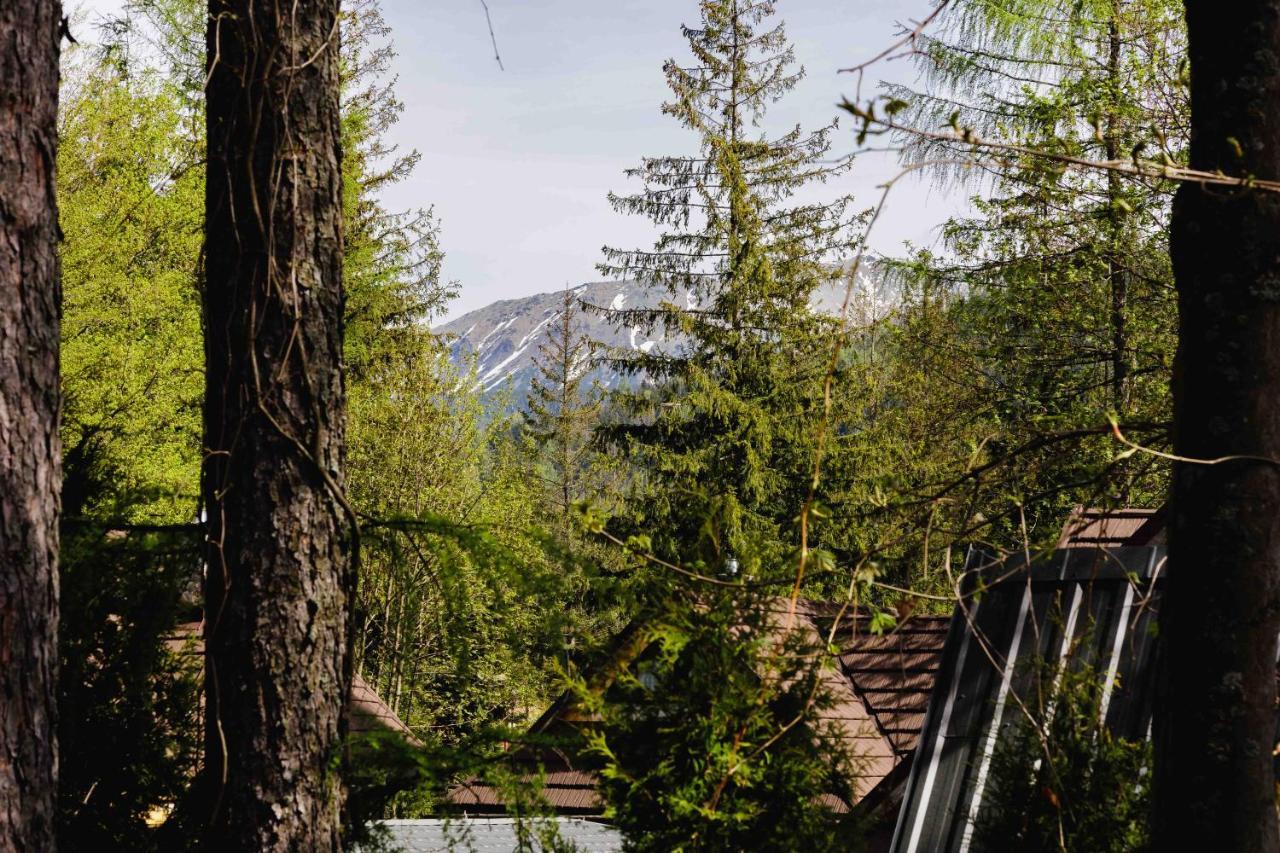 Apartamenty Chata Pod Reglami Zakopane Exterior foto