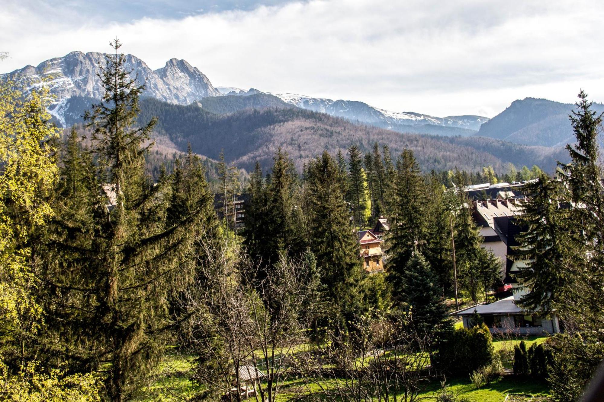 Apartamenty Chata Pod Reglami Zakopane Quarto foto